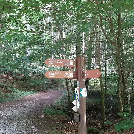 Ourtalblick 2km Von Vianden-lux Dom wakacyjny Roth an der Our