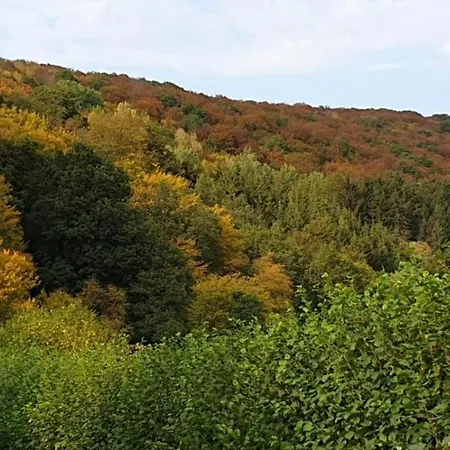 Ourtalblick 2km Von Vianden-lux * Roth an der Our