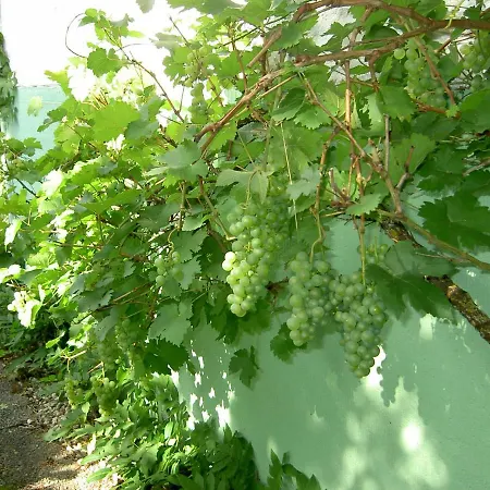 Сasa de vacaciones Ourtalblick 2km Von Vianden-lux Roth an der Our
