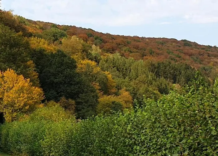 Ourtalblick 2km Von Vianden-lux * Roth an der Our