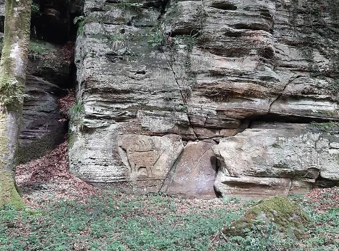 Ourtalblick 2km Von Vianden-lux