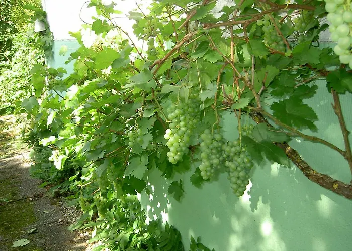 Vakantiehuis Ourtalblick 2km Von Vianden-lux Roth an der Our